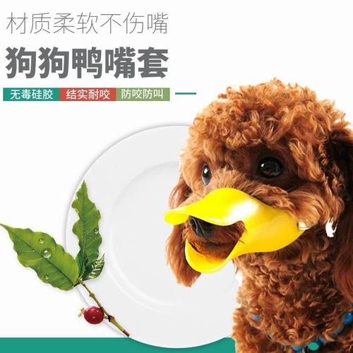 从防咬防叫到防乱吃，一件解决泰迪比熊烦恼的道具 狗嘴套选购与使用全攻略